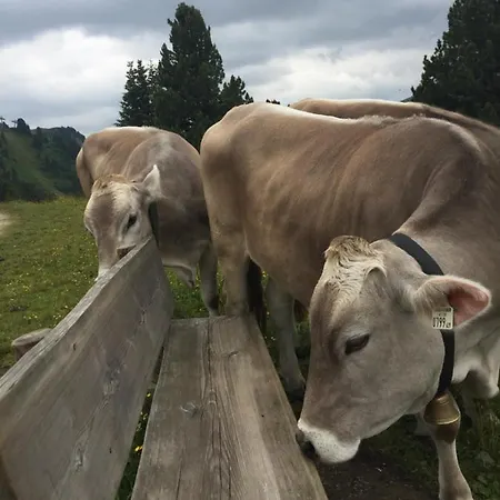 Appartamento Mountain Tux